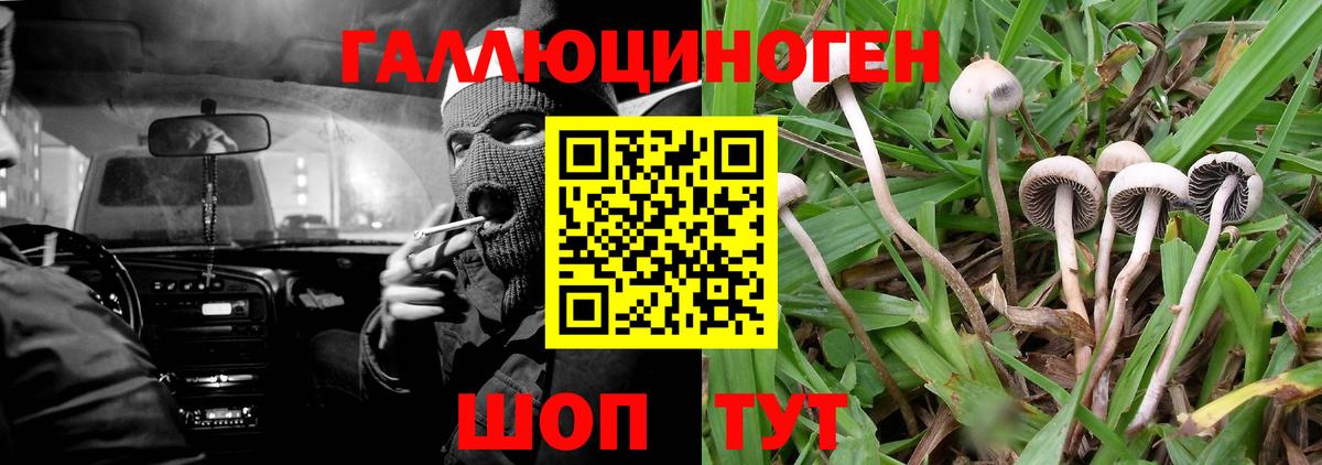 Солнечногорск  Псилоцибиновые грибы Psilocybine cubensis  Вход с VPN  Галлюциногенные грибы прущие грибы 