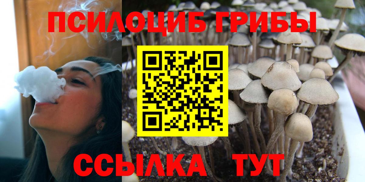 Псилоцибиновые грибы мухоморы Солнечногорск